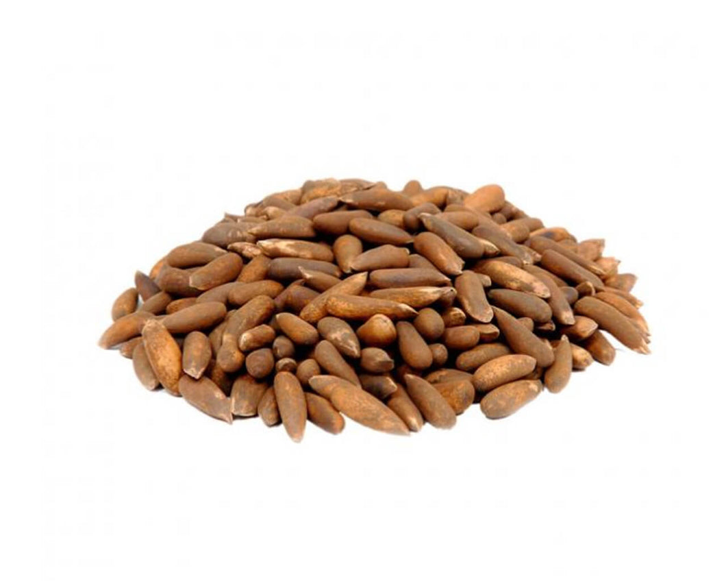 CHILGOZA | PINE NUTS (AFGHANI)